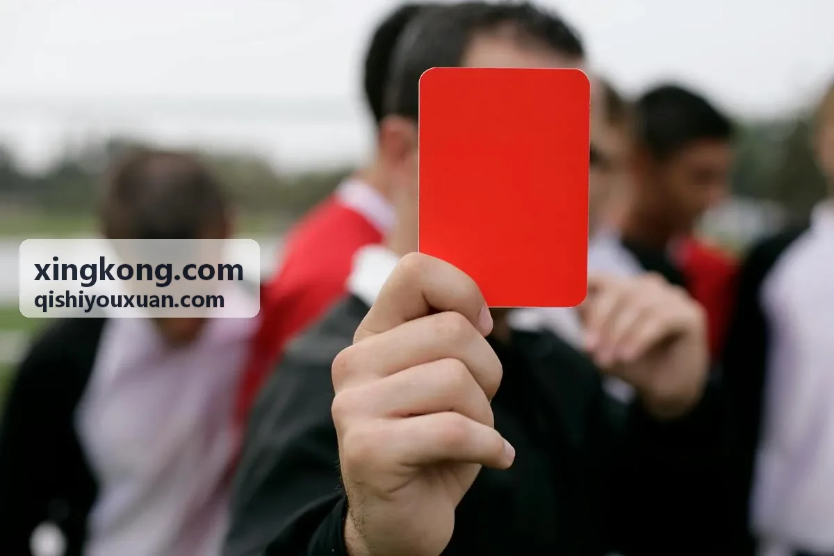 xingkong.com 智能分析